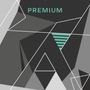 IDENTYFIKACJA WIZUALNA PAKIET PREMIUM