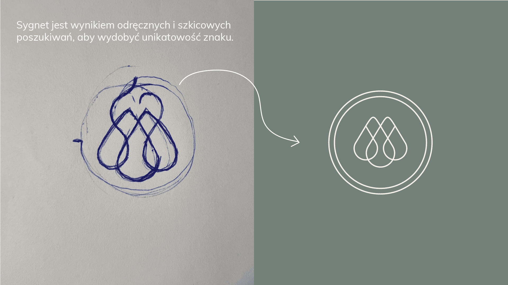 proces tworzenia sygnetu hybiome Realizacje Calma Maluje Marki