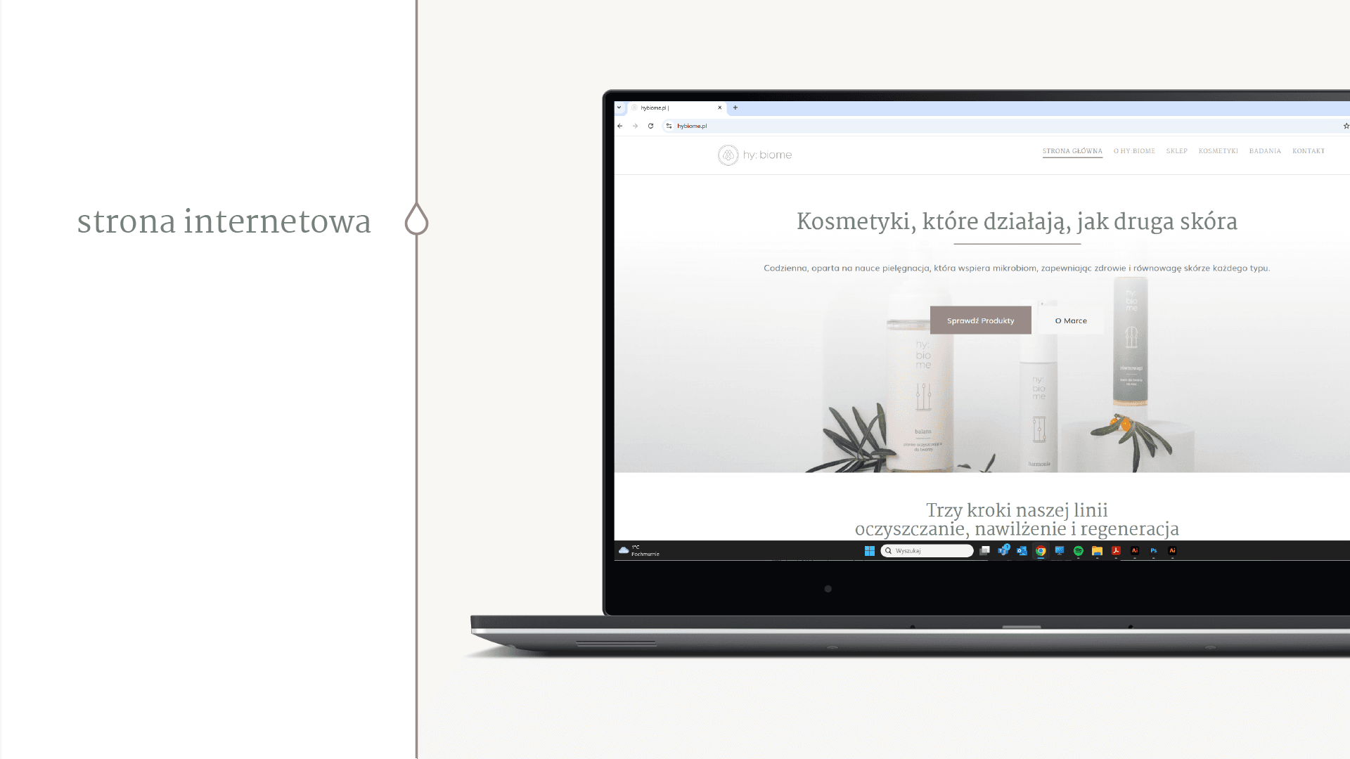 strona internetowa hybiome Realizacje Calma Maluje Marki